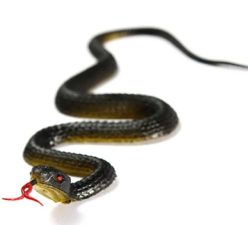 Prank Toys - Cobra de borracha realista de 45
