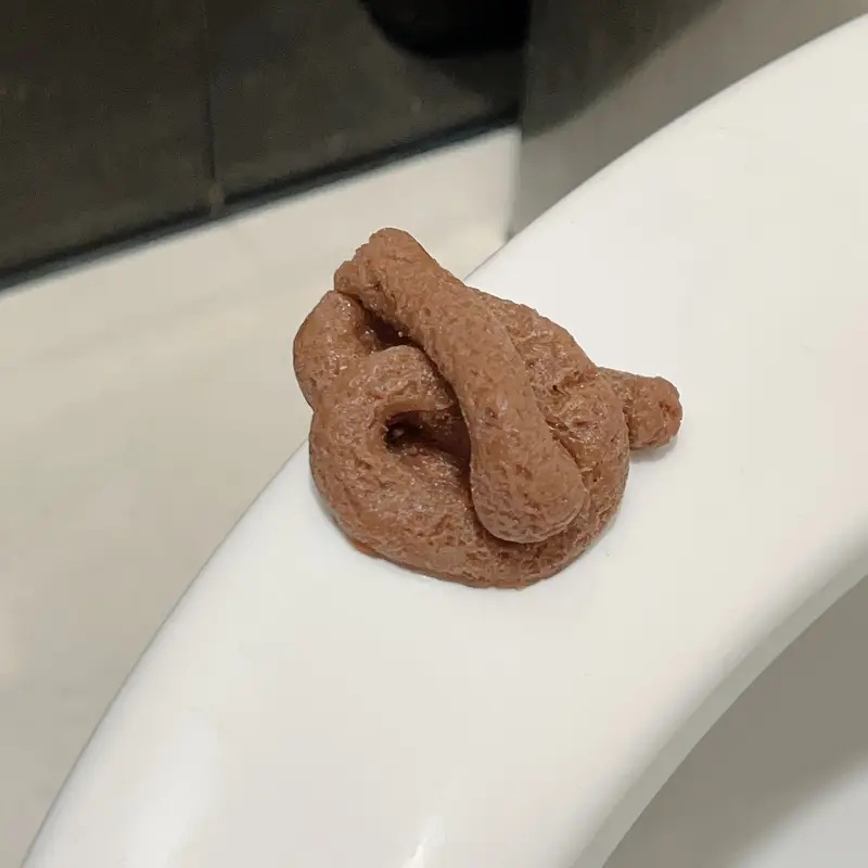 Brinquedo de brincadeira de co - Fake Poop Gag Gift avaliação e preço