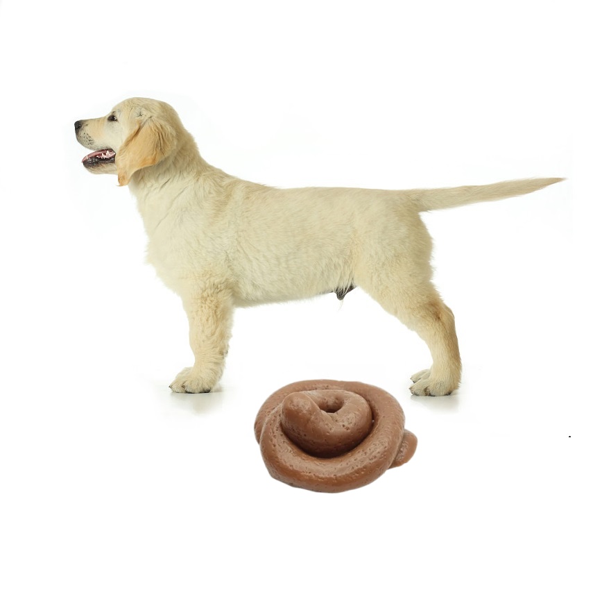 Brinquedo Engraçado de Cocô Ma - Fake Poop Gag Gift avaliação e preço